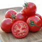 Roadster Tomato