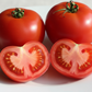Caiman Organic Tomato