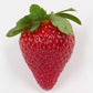 Florida Festival™ Short Day Strawberry