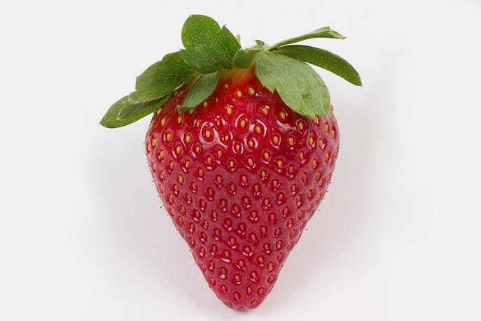 Florida Festival™ Short Day Strawberry