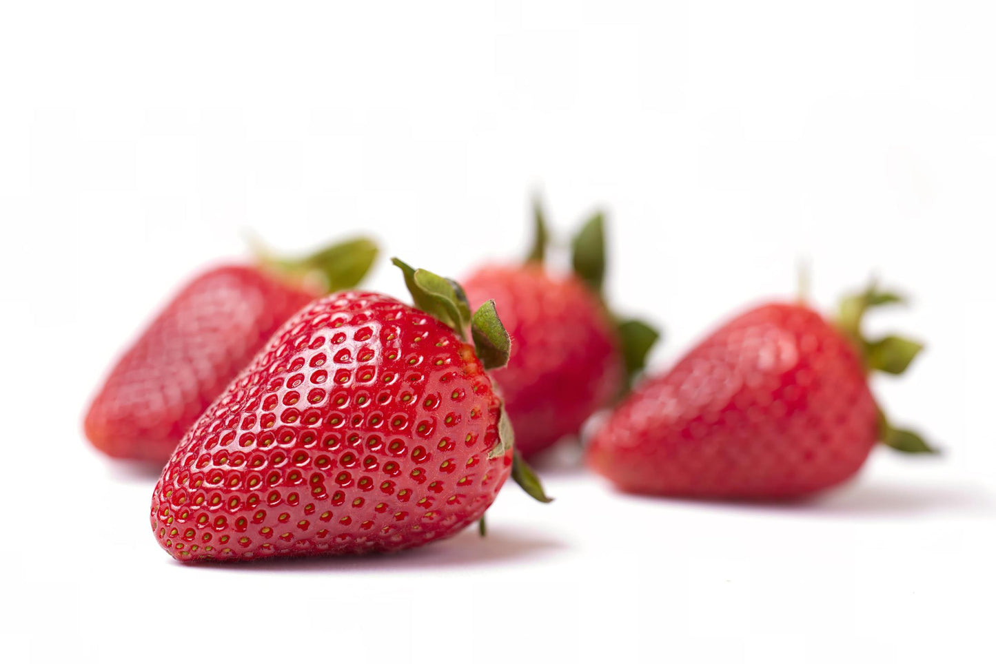 Surfline Early Short Day Strawberry