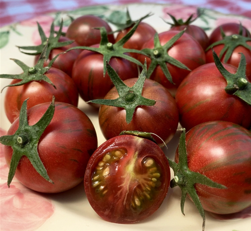 Sunchocola Cherry Tomato