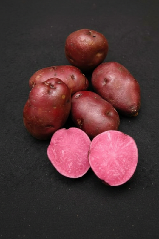 Rasberry Seed Potato online shopping