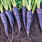 Deep Purple F1 Carrot