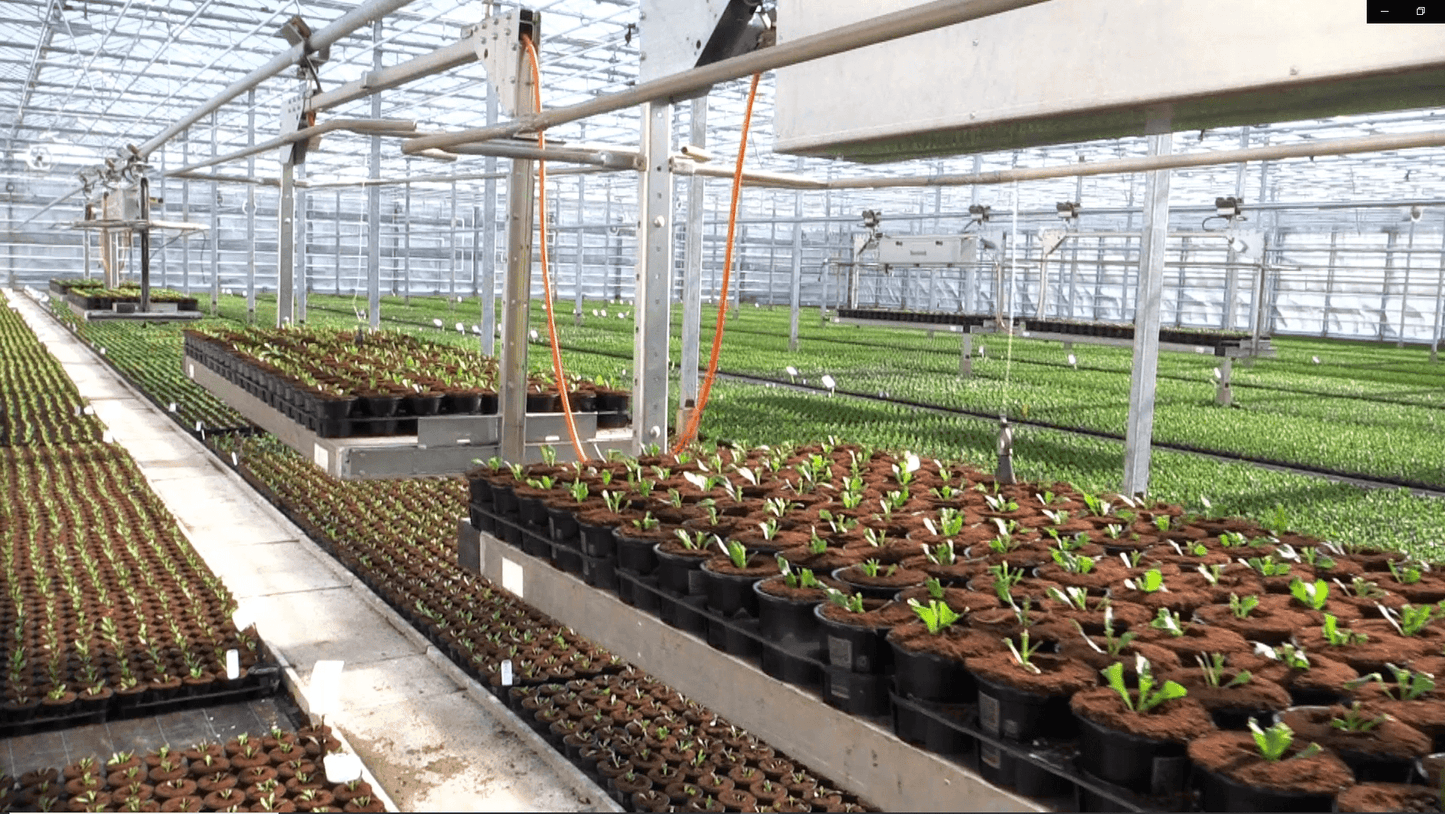 Viscon Monorail Greenhouse Internal Transport