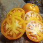 Carolina Gold F1 Tomato