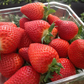 Victory Early Season Strawberry