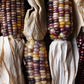 Calico Popcorn Corn