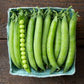 PLS 595 Organic Shelling Pea