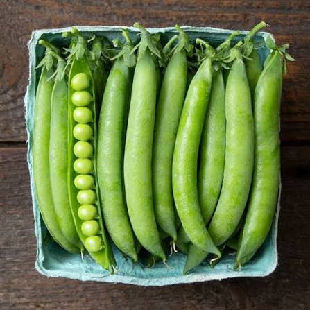 PLS 595 Organic Shelling Pea Seeds online shopping
