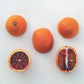 Sanguinelli Blood Orange Budwood citrus plant material online shopping