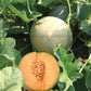 Divergent F1 Organic Melon