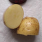 Nicola Potato online shopping