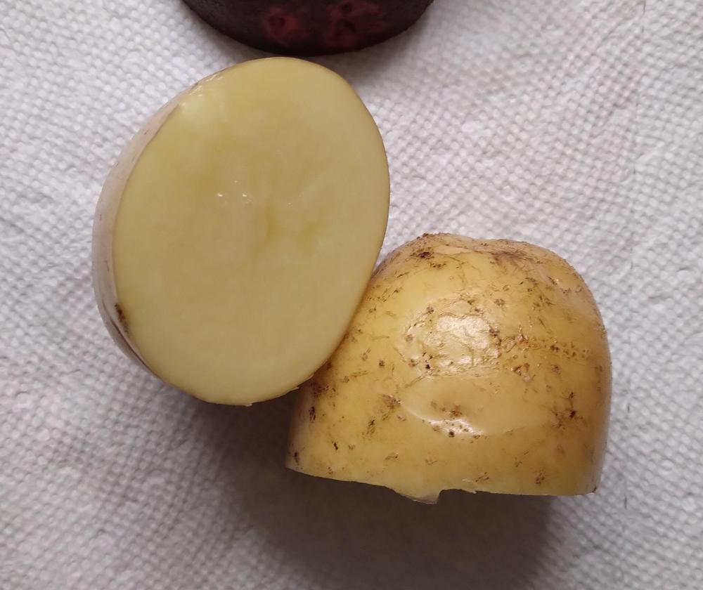 Nicola Potato online shopping
