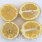 Lapithiotiki Lemon Budwood citrus plant material online shopping