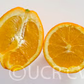 Navelina Navel Orange Budwood citrus plant material online shopping