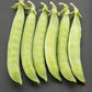 Sabre Shelling Pea