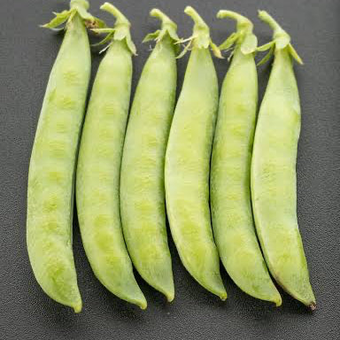 Sabre Shelling Pea Seeds online shopping