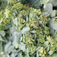 Sorrento Broccoli Raab