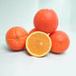 Fukumoto Navel Orange Budwood citrus plant material online shopping