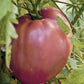 Pink Brandywine  Organic Tomato