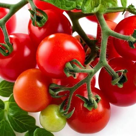 Red Robin Tomato