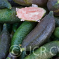 Australian Red Pulp Finger Lime Budwood citrus plant material online shopping