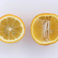 Volckamer Lemon Budwood citrus plant material online shopping