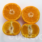 Tahoe Gold Mandarin Budwood citrus plant material online shopping