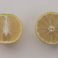 Mary Ellen Sweet Lime Budwood citrus plant material online shopping