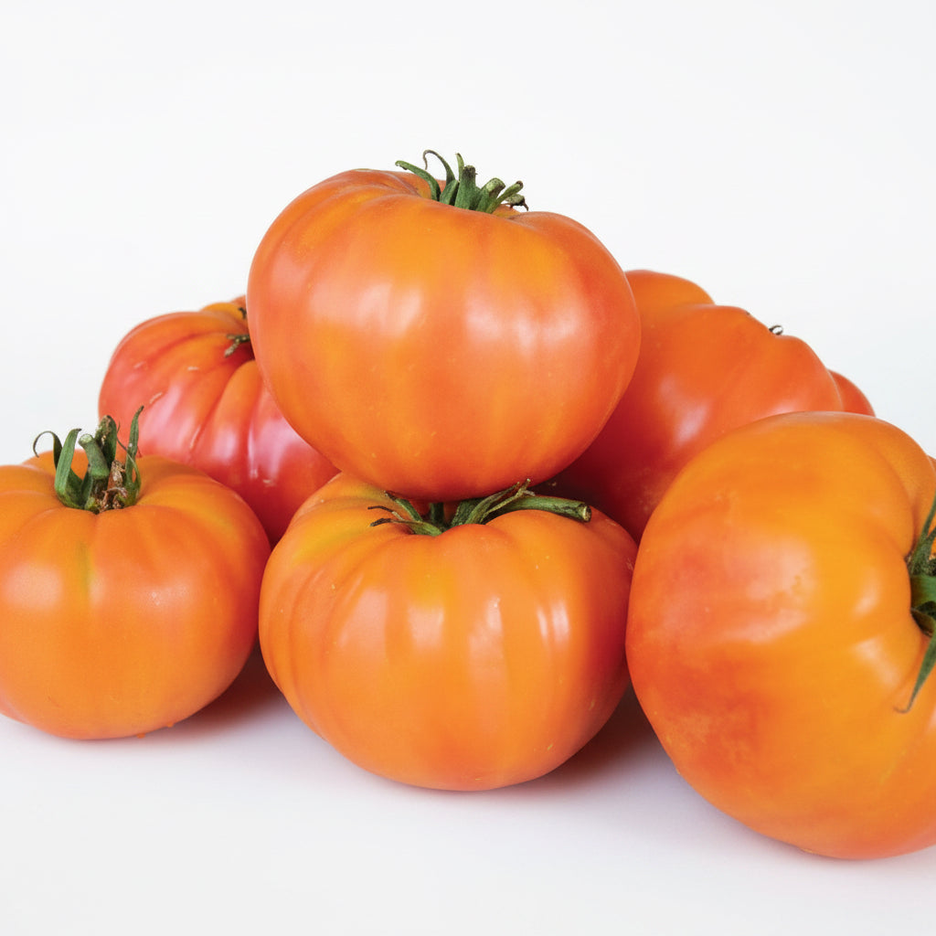 Old German Organic Tomato