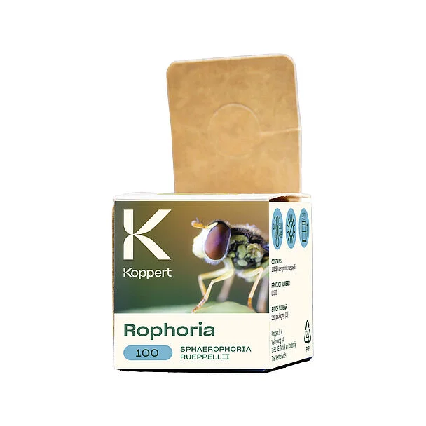 Rophoria Beneficial Hoverfly