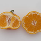 Ueno Satsuma Mandarin Budwood citrus plant material online shopping