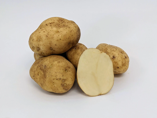 Green Mountain Heirloom Seed Potato online shopping