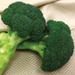 Centennial F1 Broccoli