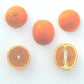Doblafina Blood Orange Budwood citrus plant material online shopping
