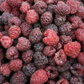 Royalty Purple Raspberry Plant Plants online shopping