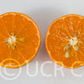 Hansen Mandarin Budwood citrus plant material online shopping
