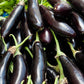 Fingerling Long Purple Aubergine