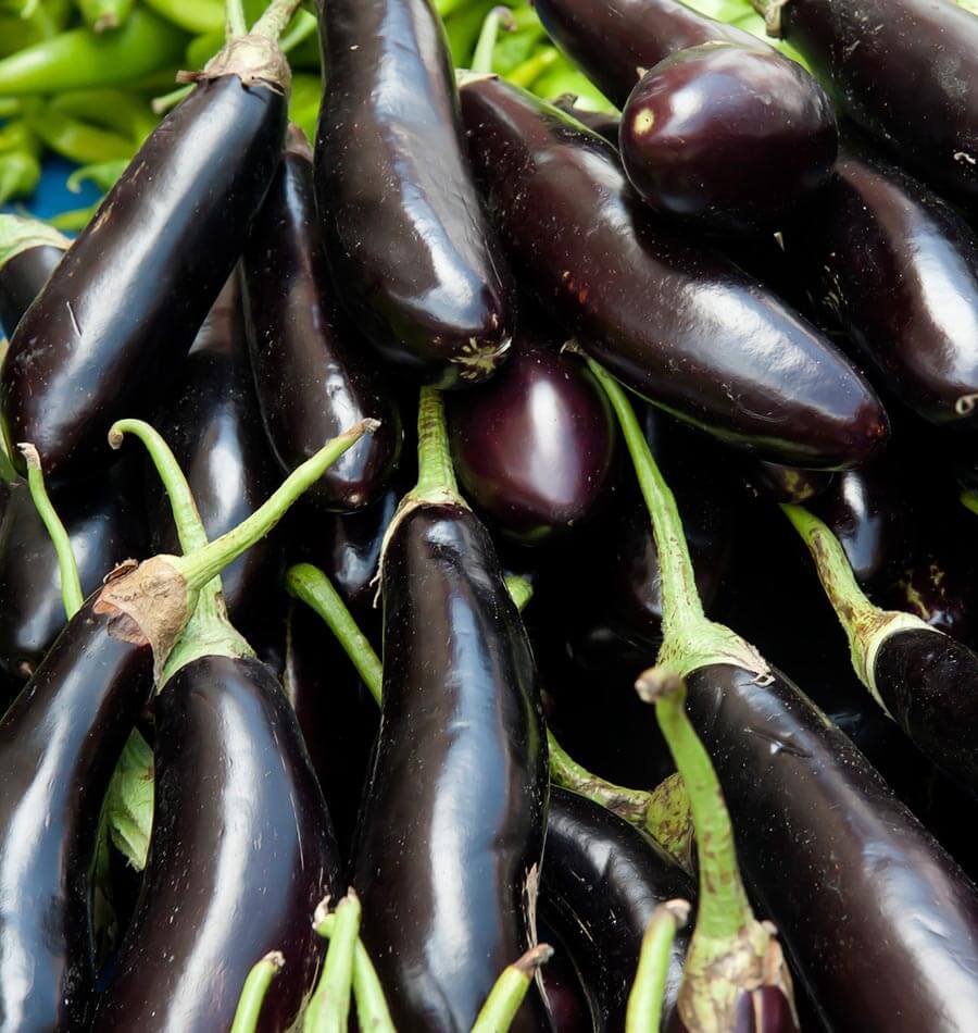 Fingerling Long Purple Aubergine