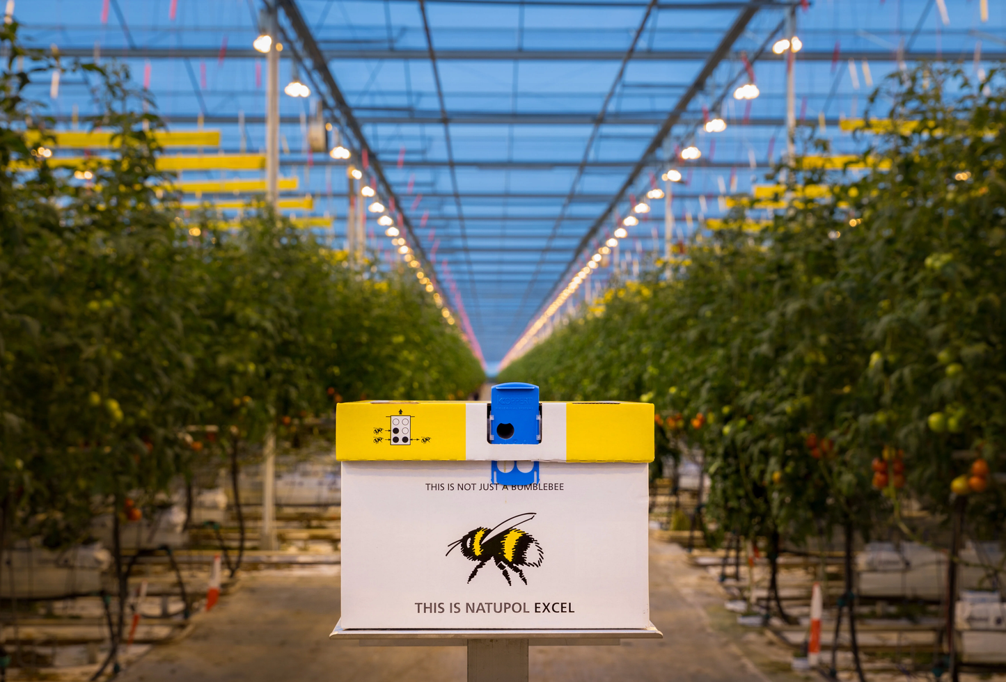 Natupol Excel Bumblebee Greenhouse Natural Pollinator