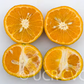 Wilking Mandarin Budwood citrus plant material online shopping