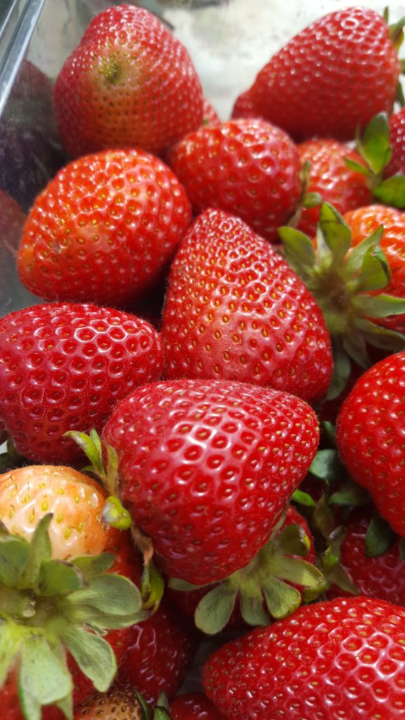 Fronteras Short Day Strawberry