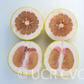 Rubidoux Pummelo Hybrid Budwood citrus plant material online shopping