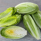 Parris Island Lettuce
