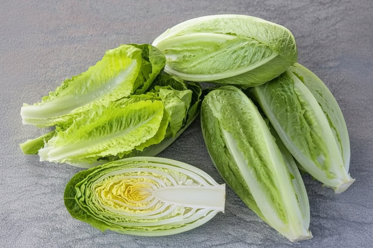Parris Island Lettuce