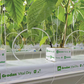 Grodan Vital Dry Slab Vegetable Growing Rock Wool Hydroponics Substrate