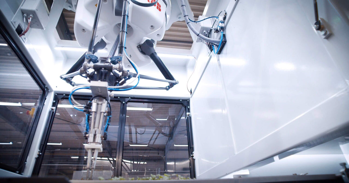 Viscon Robotic Gap Filler Transplanter