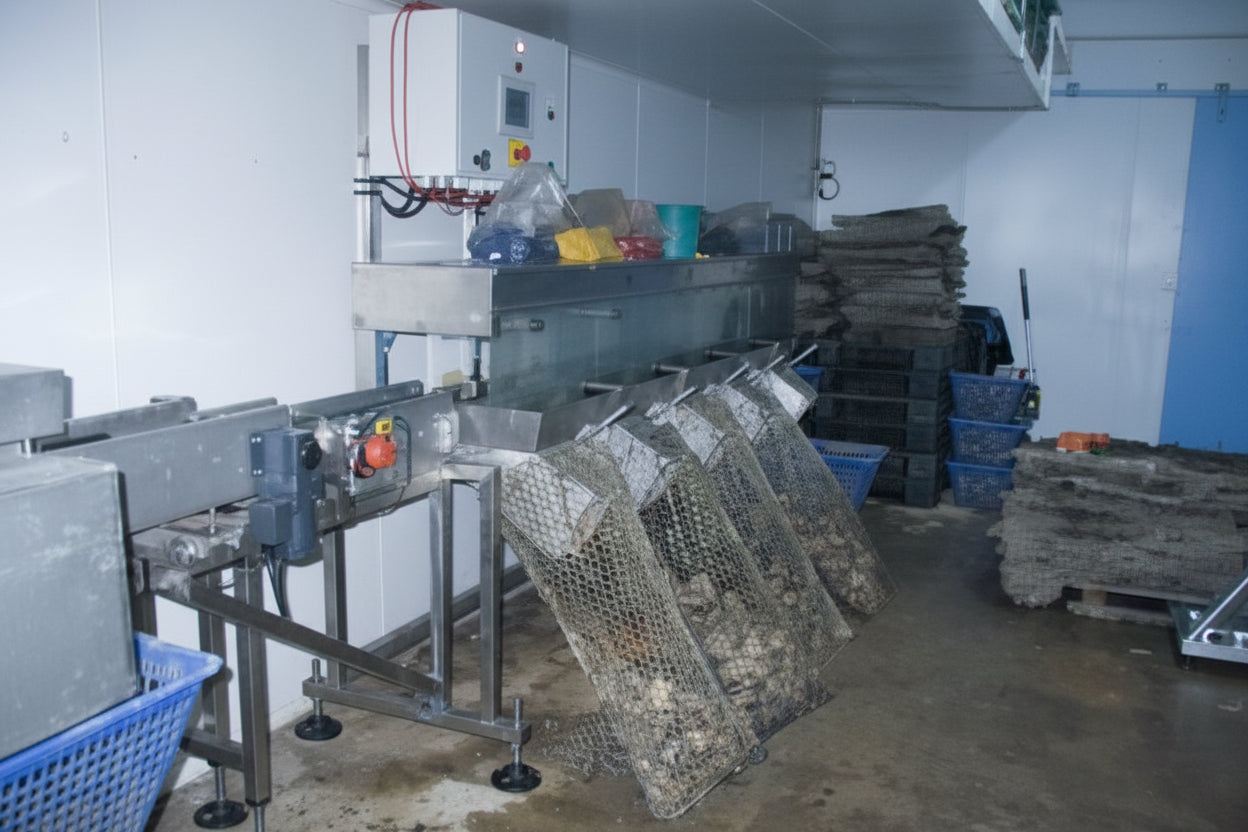 Hardouin Oyster Single Effect Linear Grader