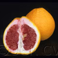 Valentine Pummelo Hybrid Budwood citrus plant material online shopping